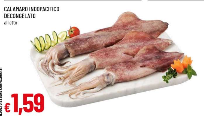 CALAMARO INDOPACIFICO DECONGELATO