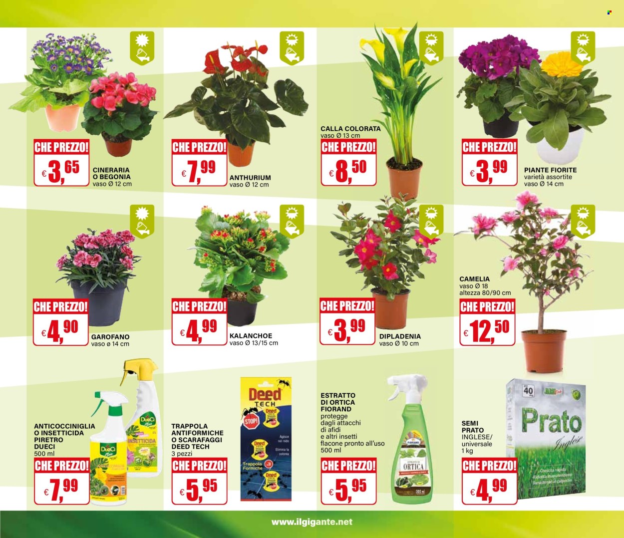 Volantino Il Gigante - 2/3/2026 - 11/3/2026. Pagina 31