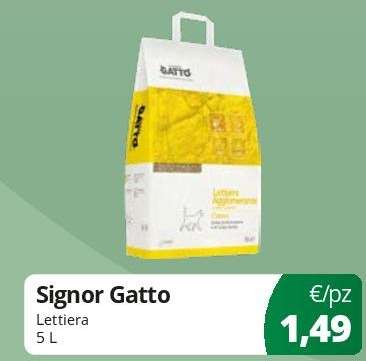 Signor Gatto