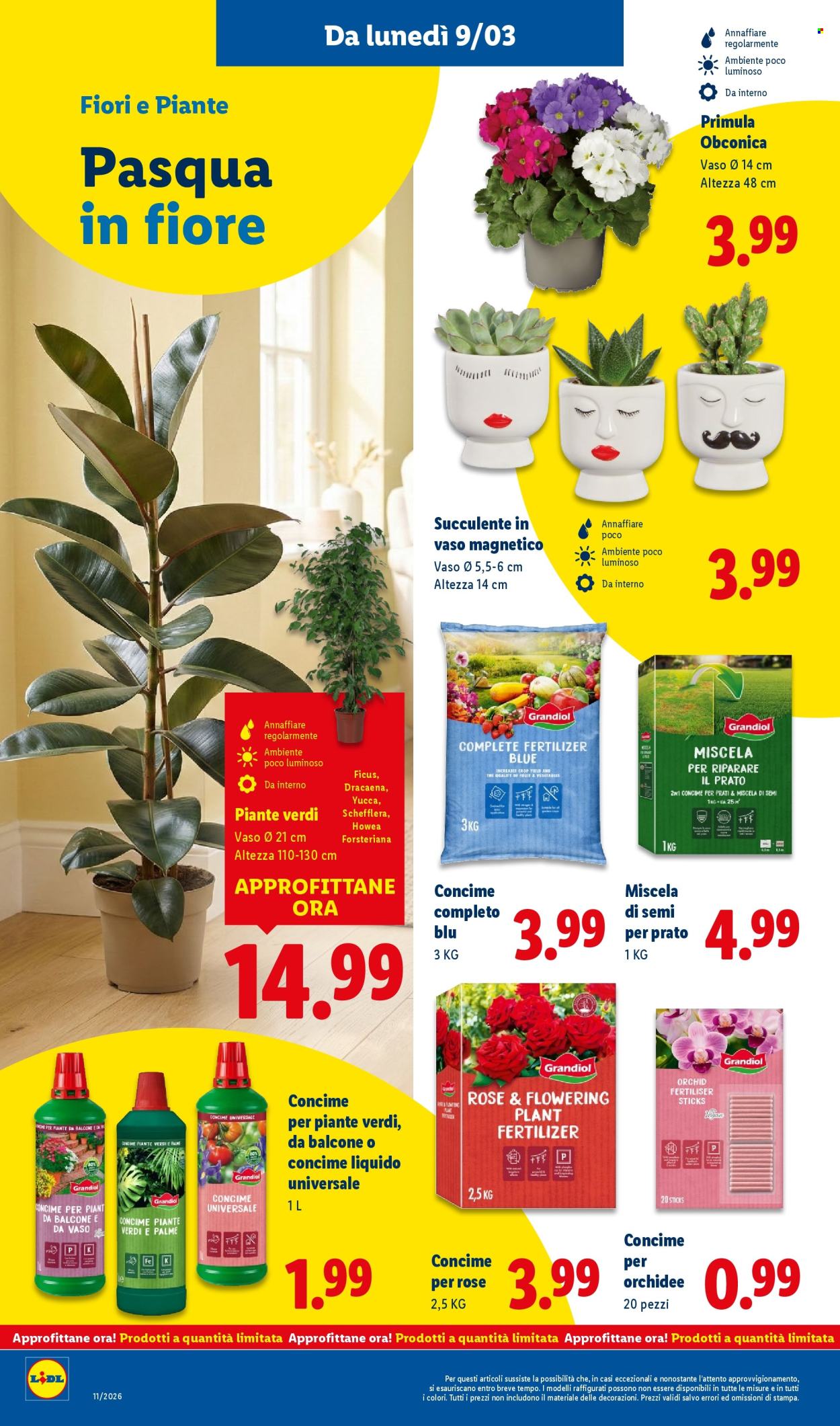 Volantino Lidl - 9/3/2026 - 15/3/2026. Pagina 36