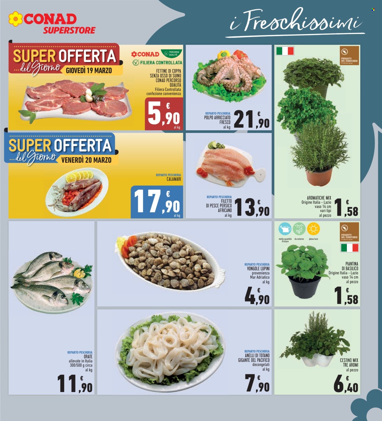 Volantino Conad - 11/3/2026 - 24/3/2026. Pagina 9