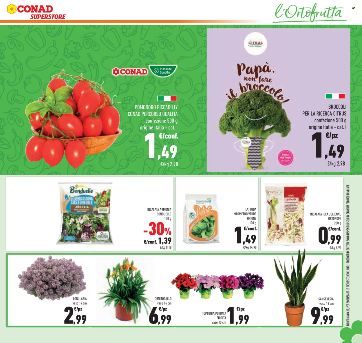 Volantino Conad Superstore - 11/3/2026 - 24/3/2026. Pagina 11