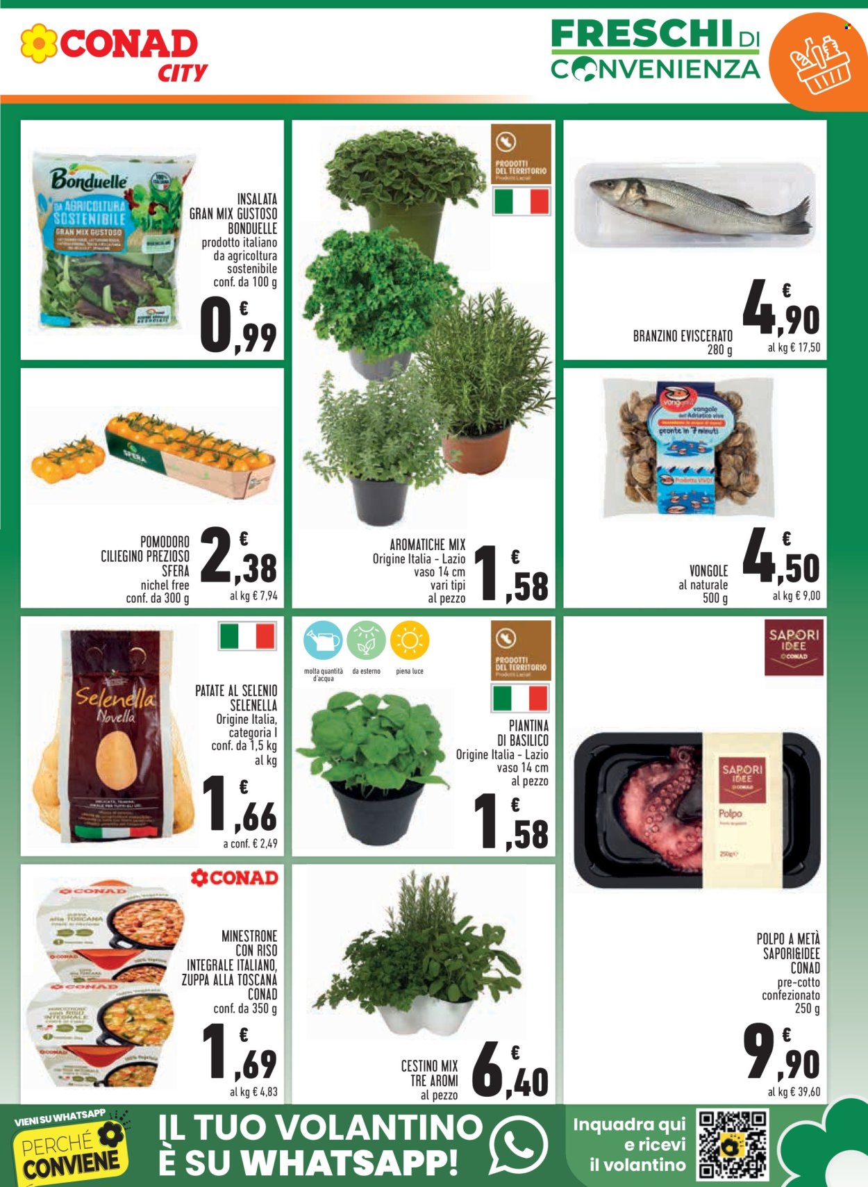 Volantino Conad - 11/3/2026 - 24/3/2026. Pagina 5