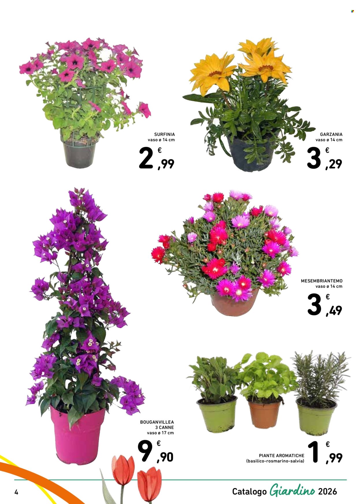 Volantino Spazio Conad - 13/3/2026 - 4/4/2026. Pagina 4