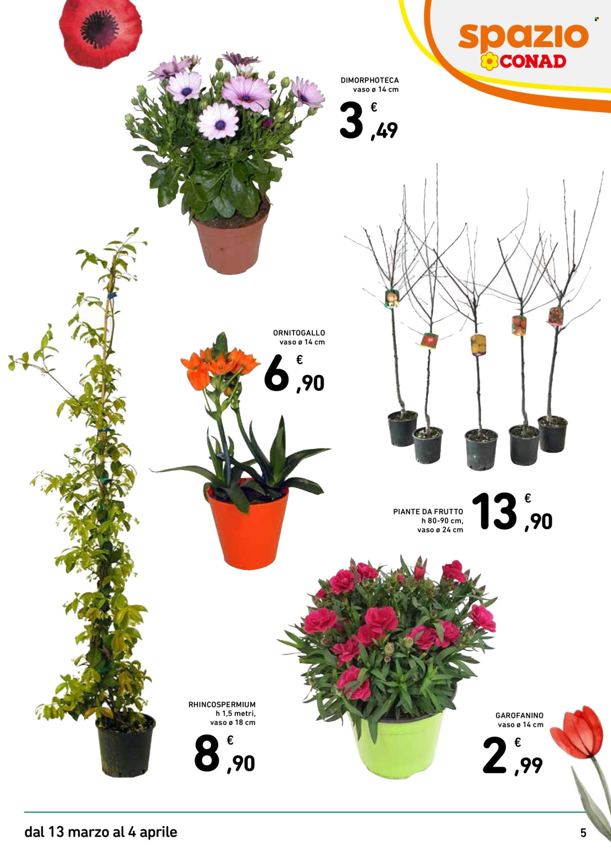 Volantino Spazio Conad - 13/3/2026 - 4/4/2026. Pagina 5