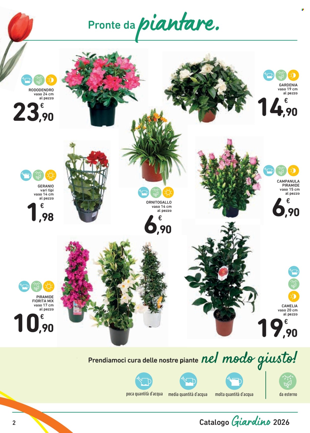 Volantino Spazio Conad - 13/3/2026 - 4/4/2026. Pagina 2