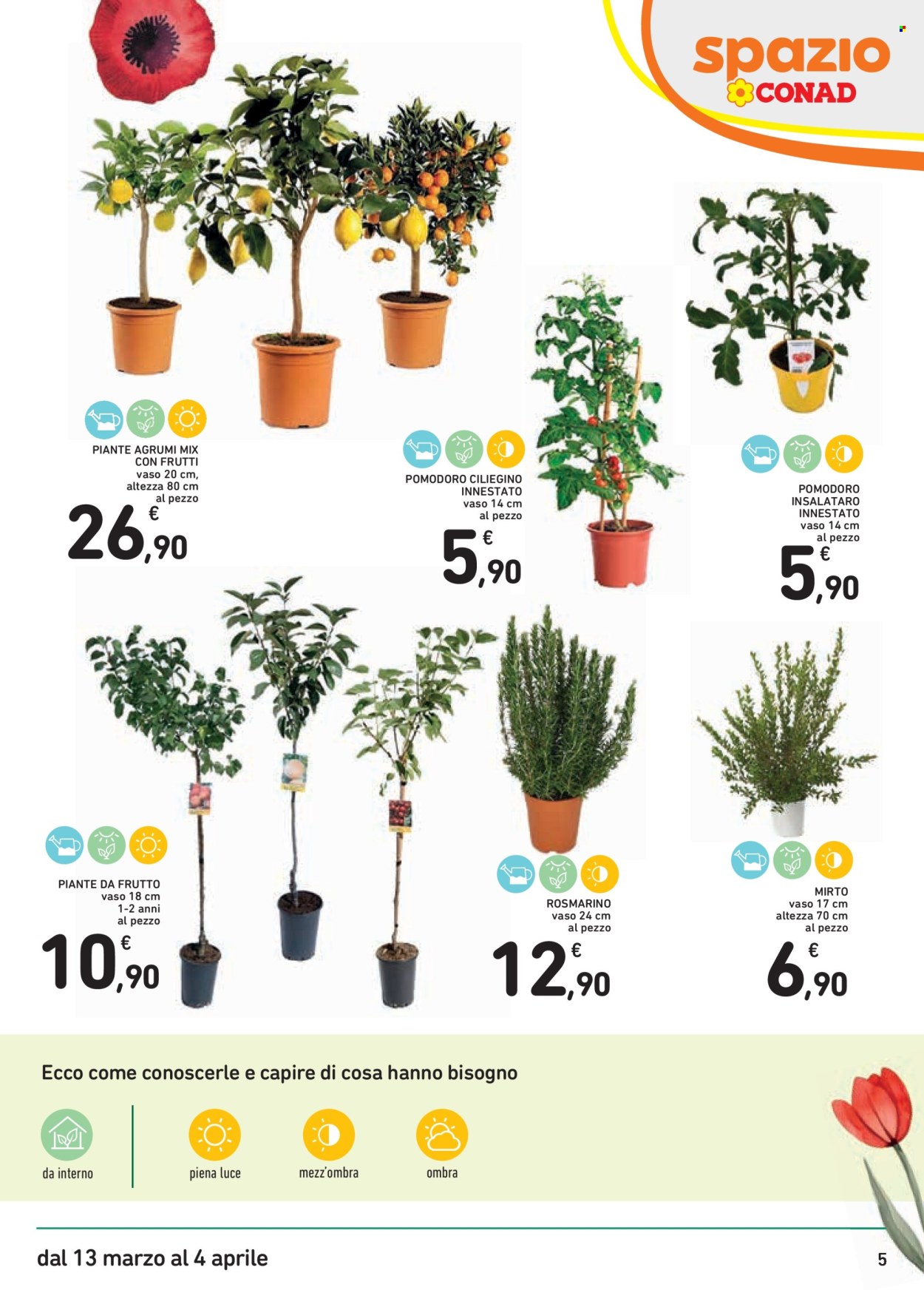 Volantino Spazio Conad - 13/3/2026 - 4/4/2026. Pagina 5