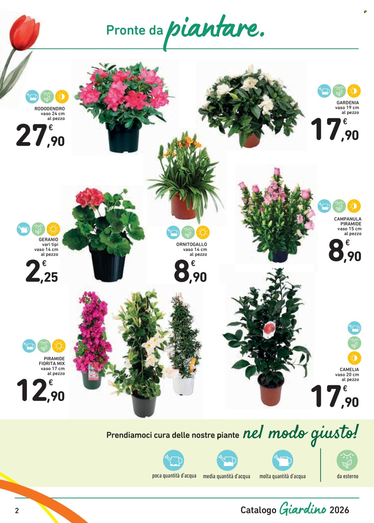 Volantino Spazio Conad - 13/3/2026 - 4/4/2026. Pagina 2