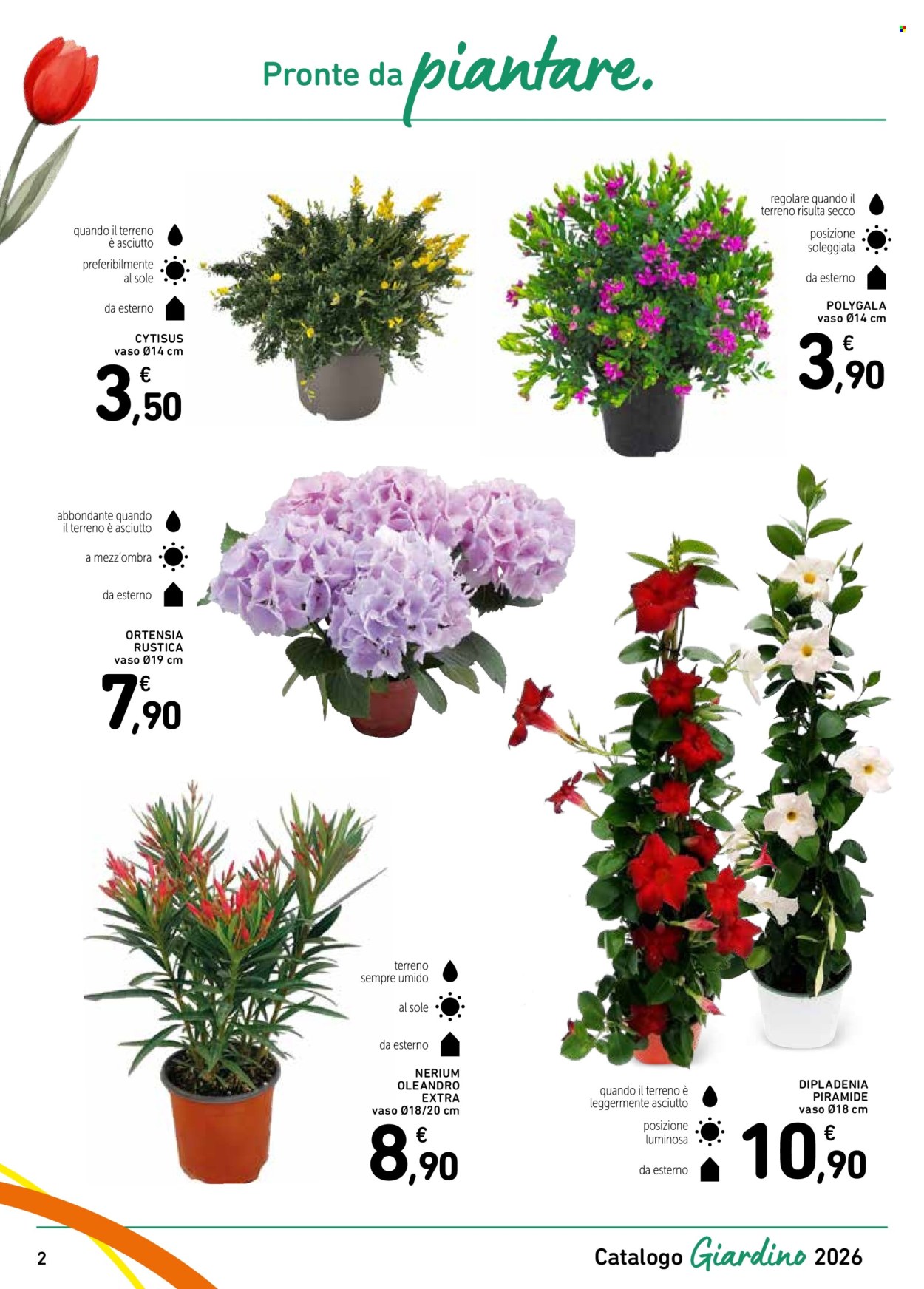 Volantino Spazio Conad - 13/3/2026 - 4/4/2026. Pagina 2