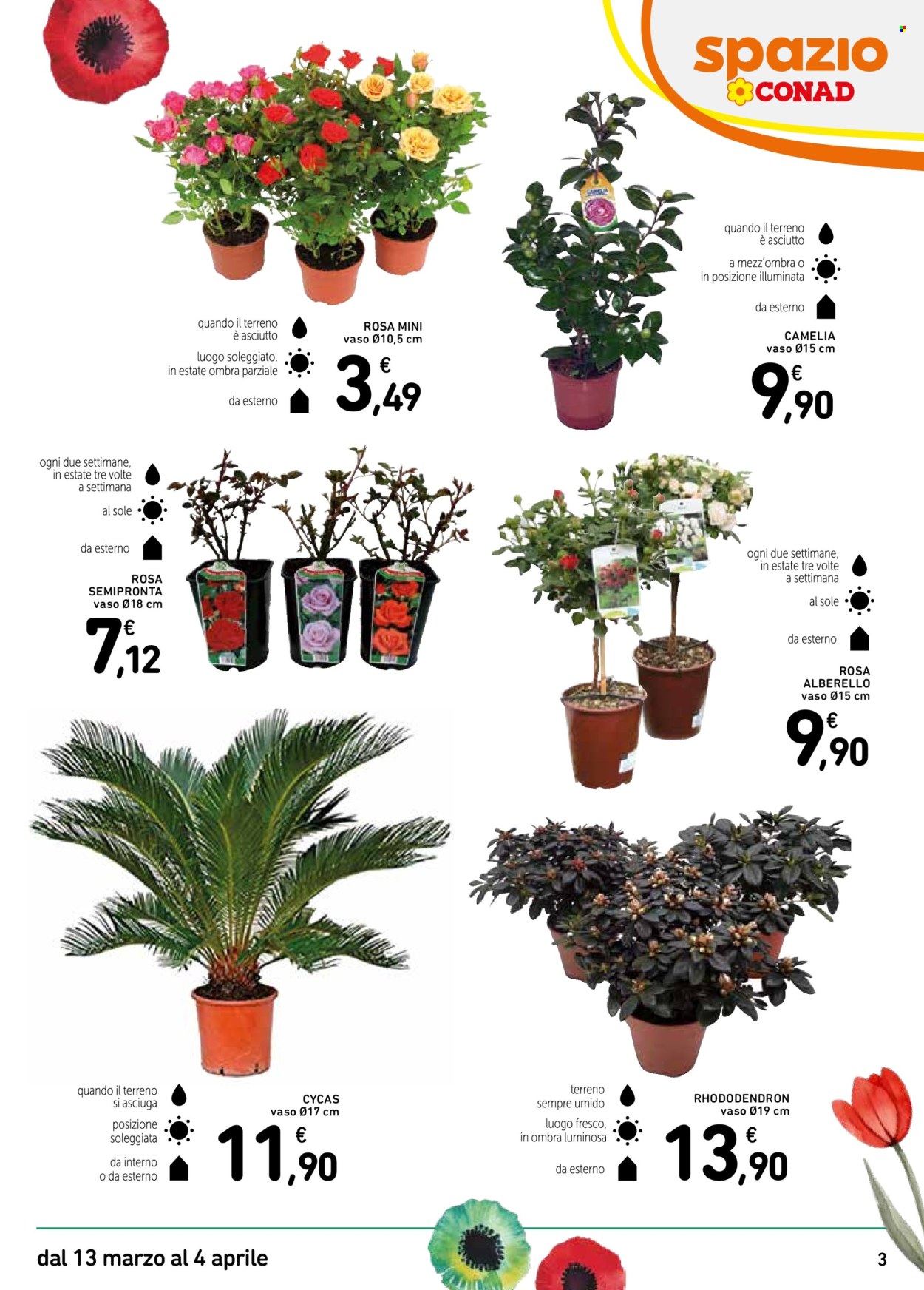 Volantino Spazio Conad - 13/3/2026 - 4/4/2026. Pagina 3