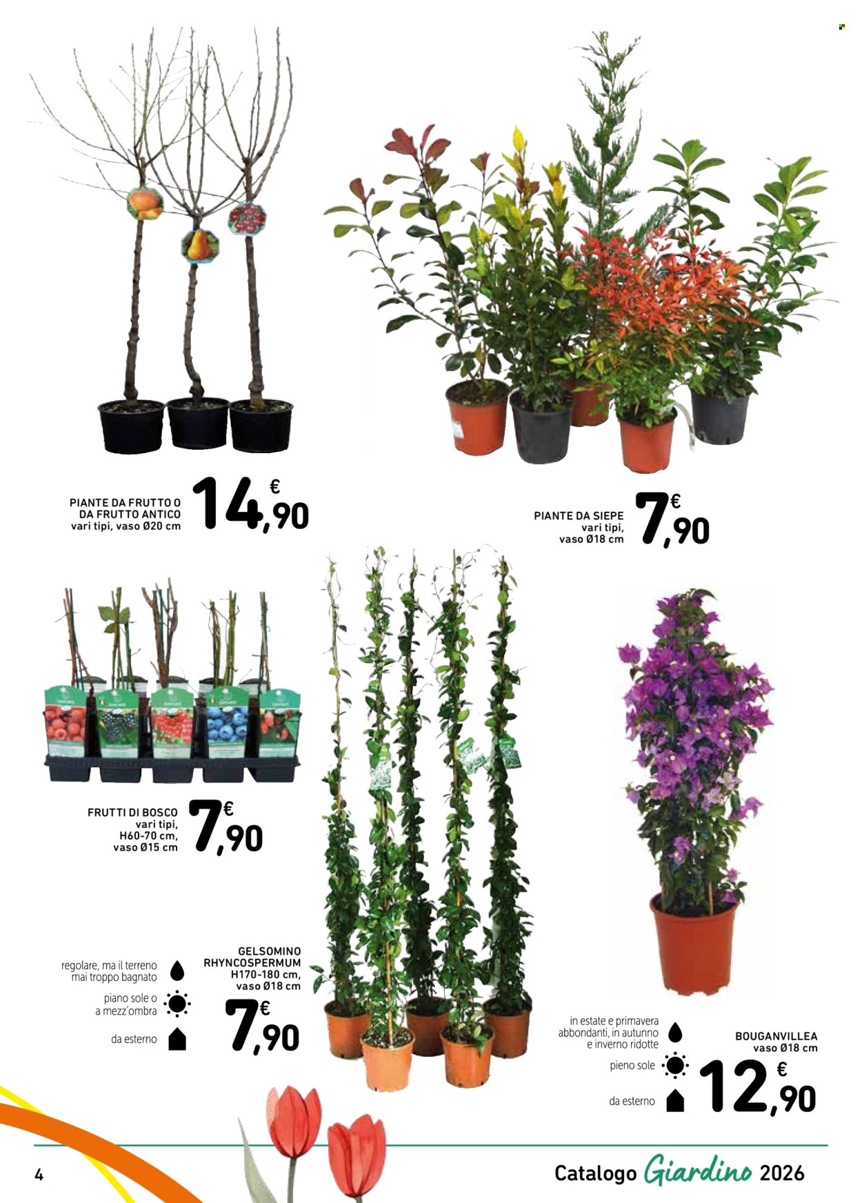 Volantino Spazio Conad - 13/3/2026 - 4/4/2026. Pagina 4