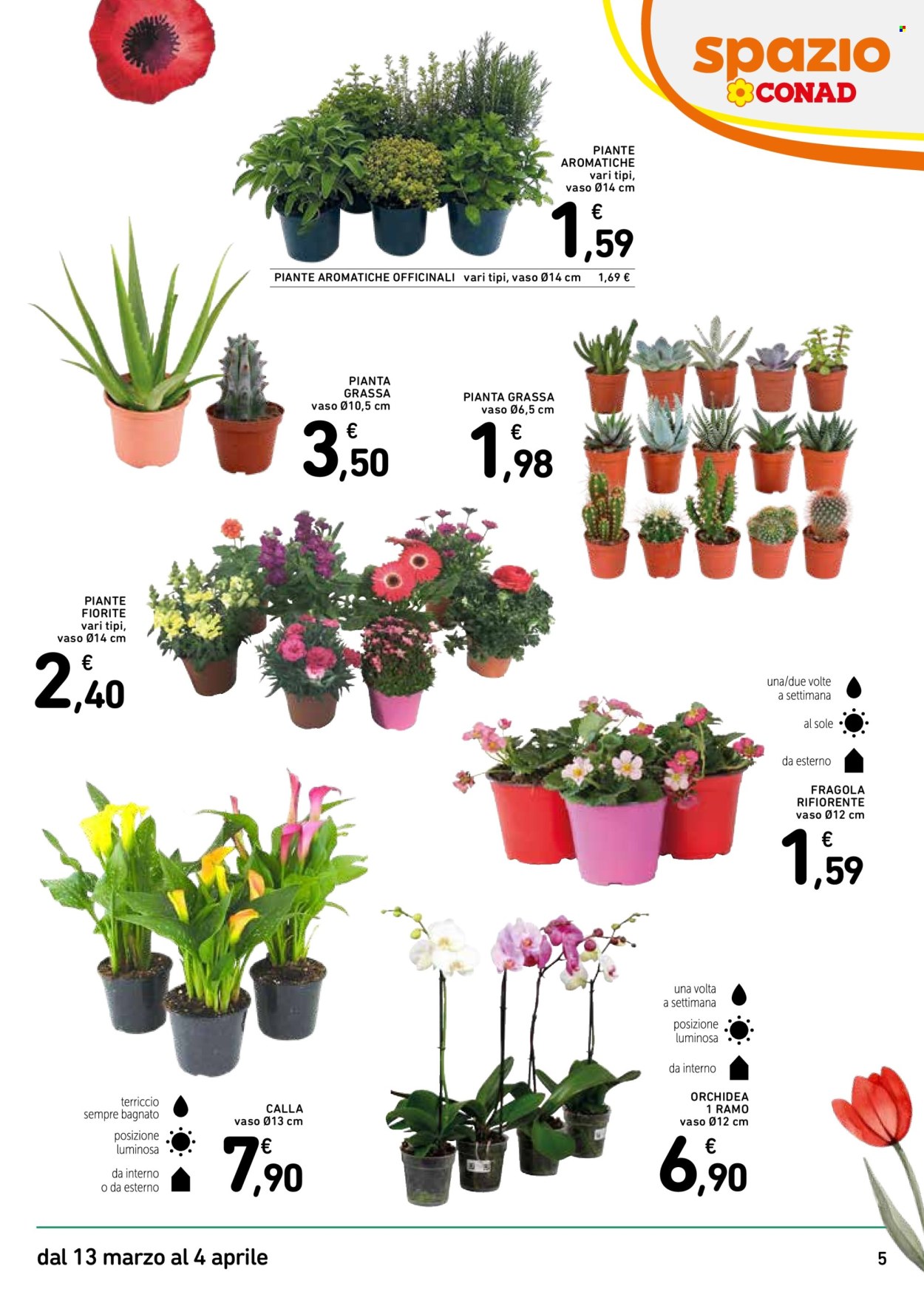 Volantino Spazio Conad - 13/3/2026 - 4/4/2026. Pagina 5