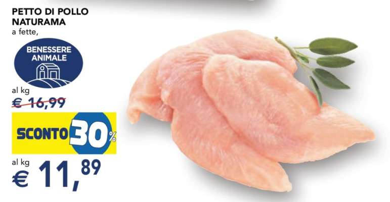 PETTO DI POLLO NATURAMA