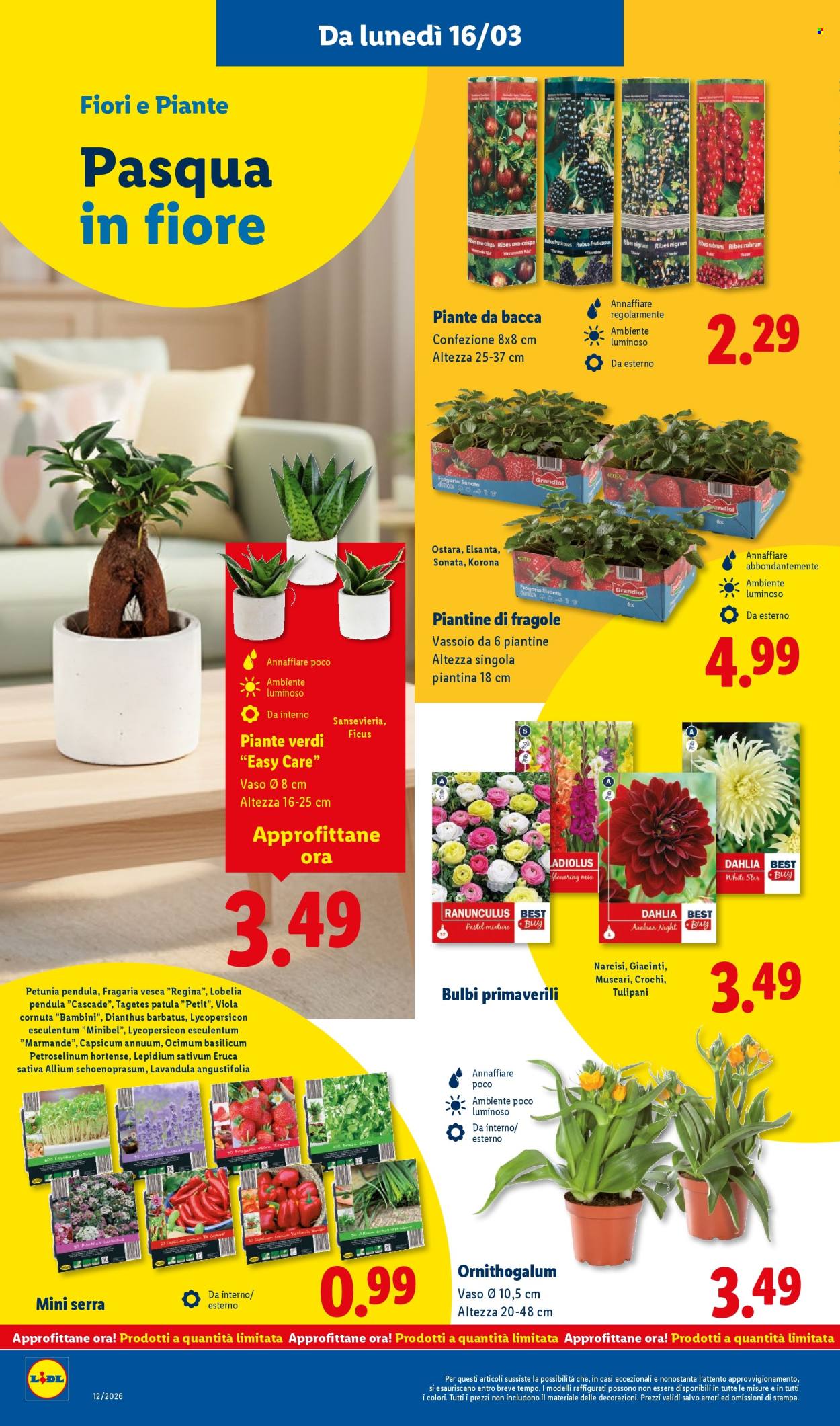 Volantino Lidl - 16/3/2026 - 22/3/2026. Pagina 44