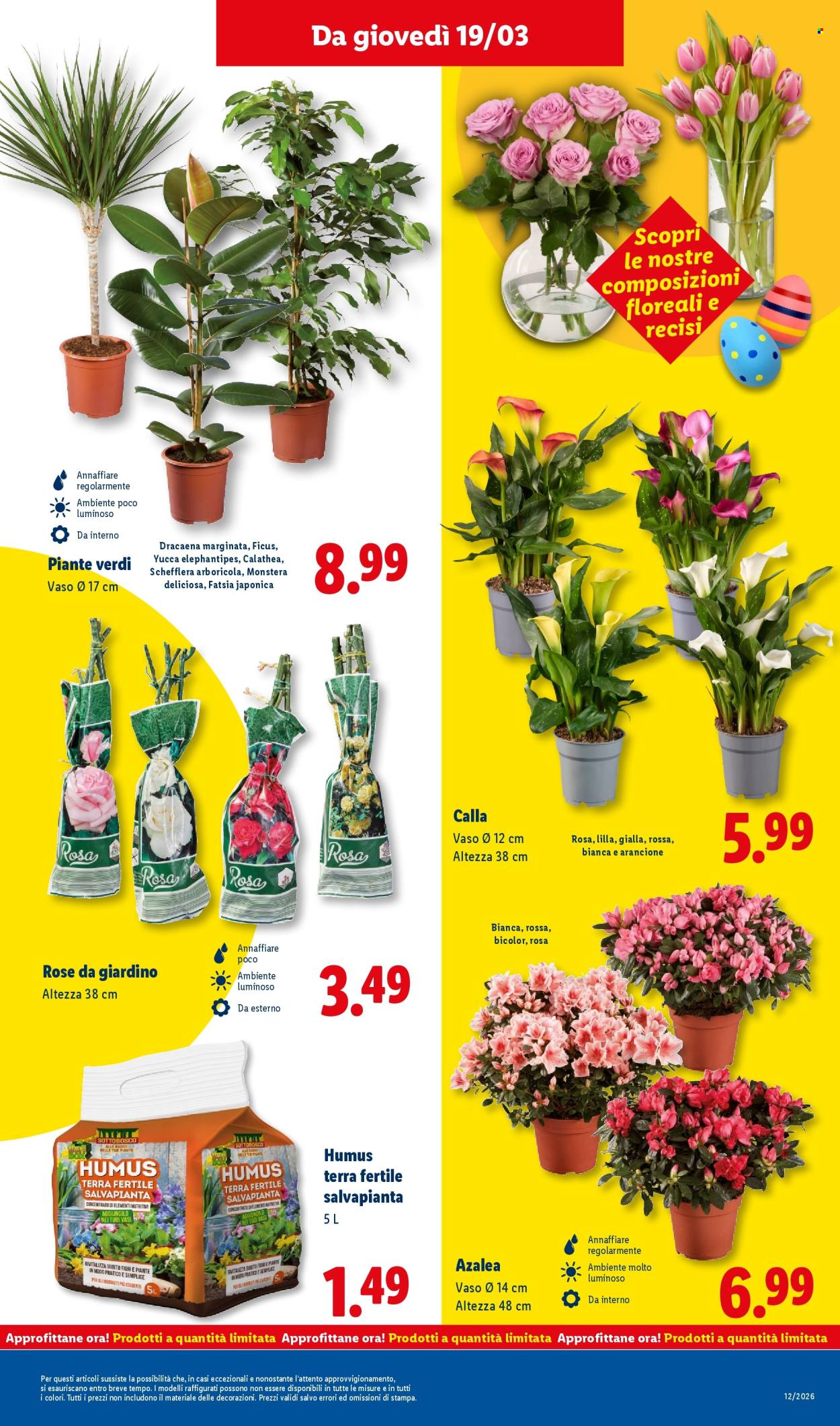 Volantino Lidl - 16/3/2026 - 22/3/2026. Pagina 45