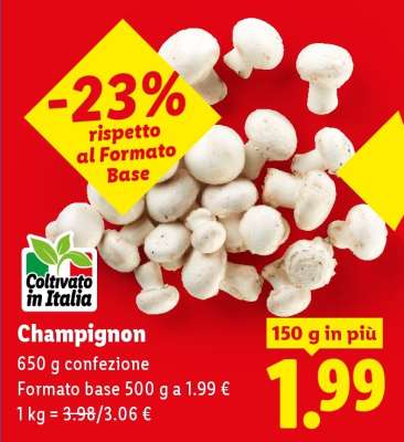 Champignon