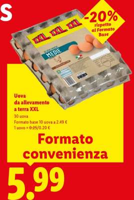 Uova da allevamento a terra XXL