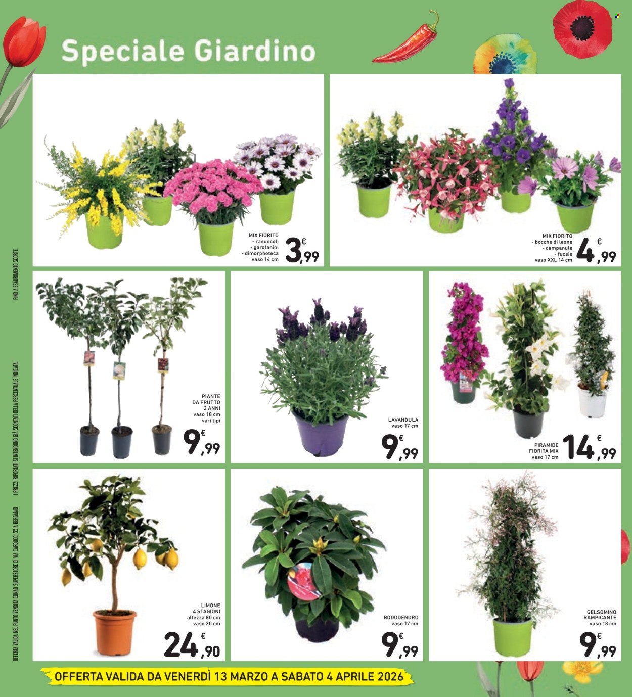Volantino Conad Superstore - 13/3/2026 - 25/3/2026. Pagina 34