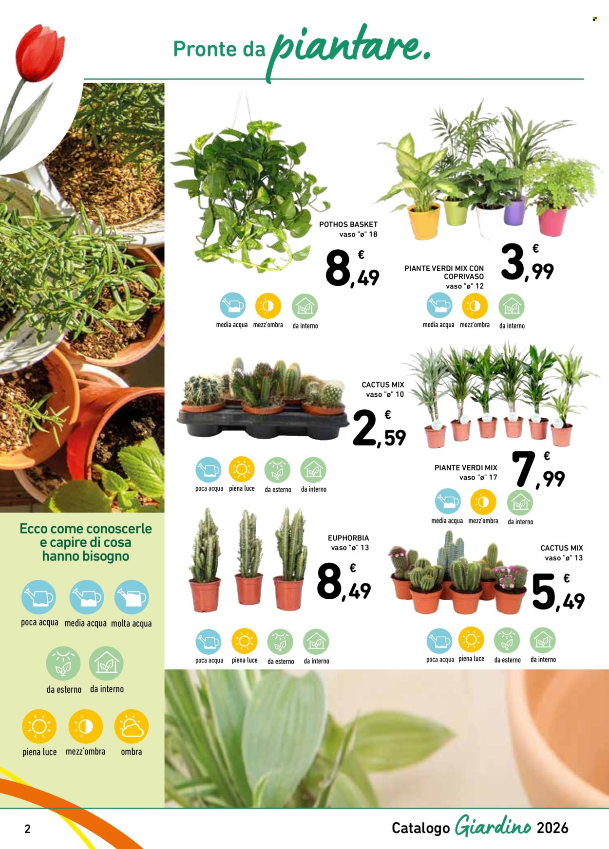 Volantino Spazio Conad - 13/3/2026 - 4/4/2026. Pagina 2