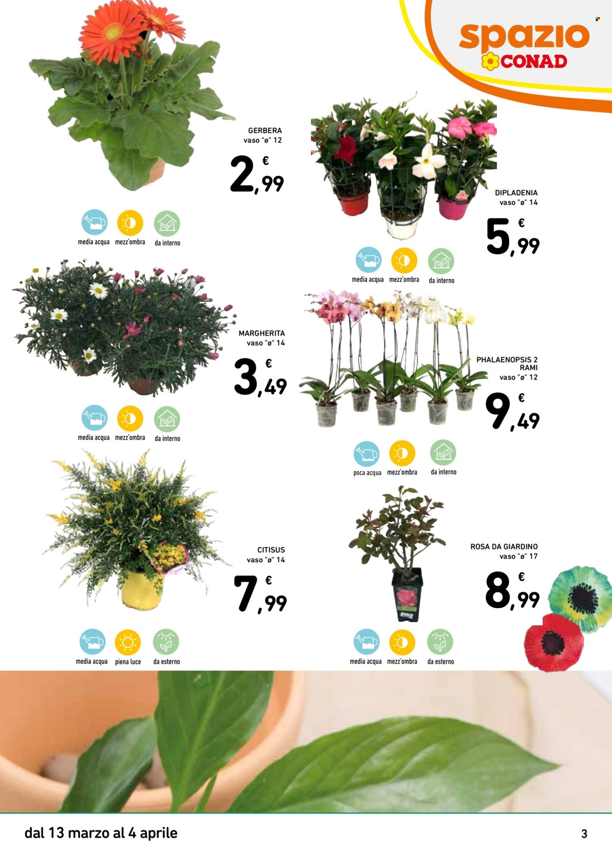 Volantino Spazio Conad - 13/3/2026 - 4/4/2026. Pagina 3