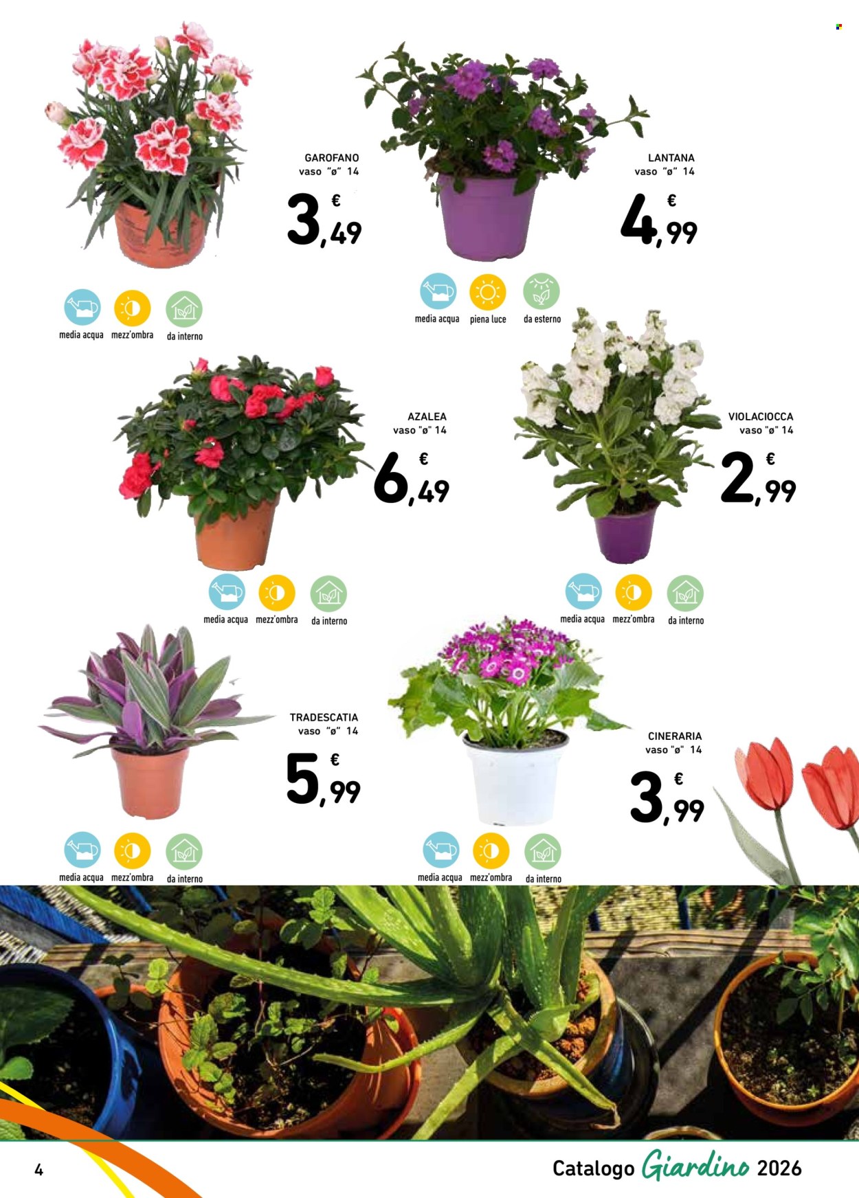 Volantino Spazio Conad - 13/3/2026 - 4/4/2026. Pagina 4