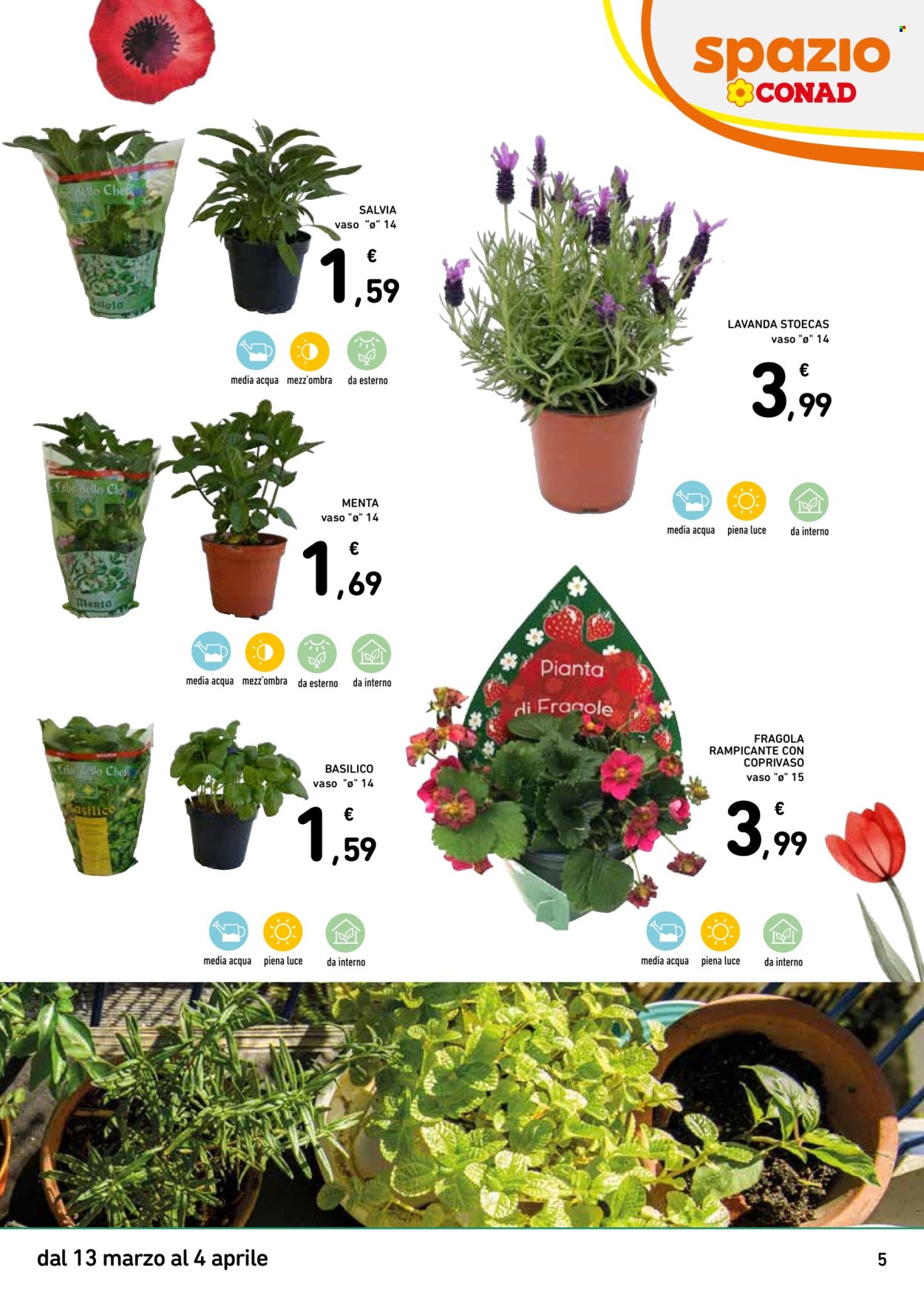 Volantino Spazio Conad - 13/3/2026 - 4/4/2026. Pagina 5