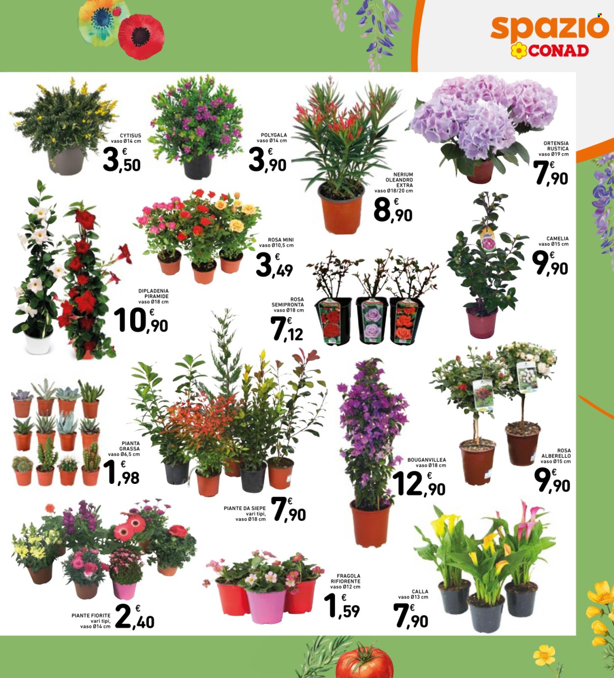 Volantino Spazio Conad - 13/3/2026 - 25/3/2026. Pagina 29