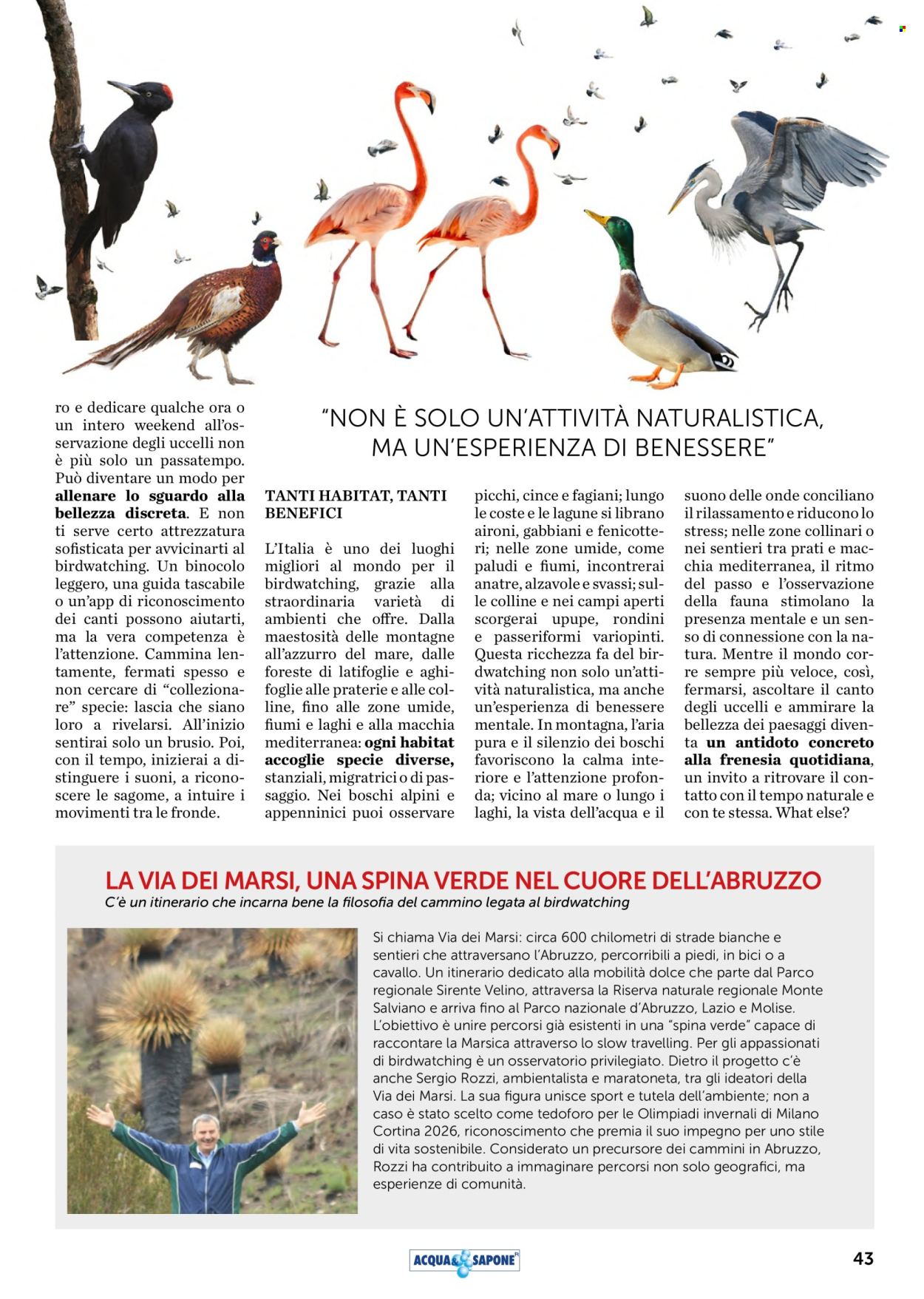 Volantino Acqua & Sapone - 1/3/2026 - 31/3/2026. Pagina 43