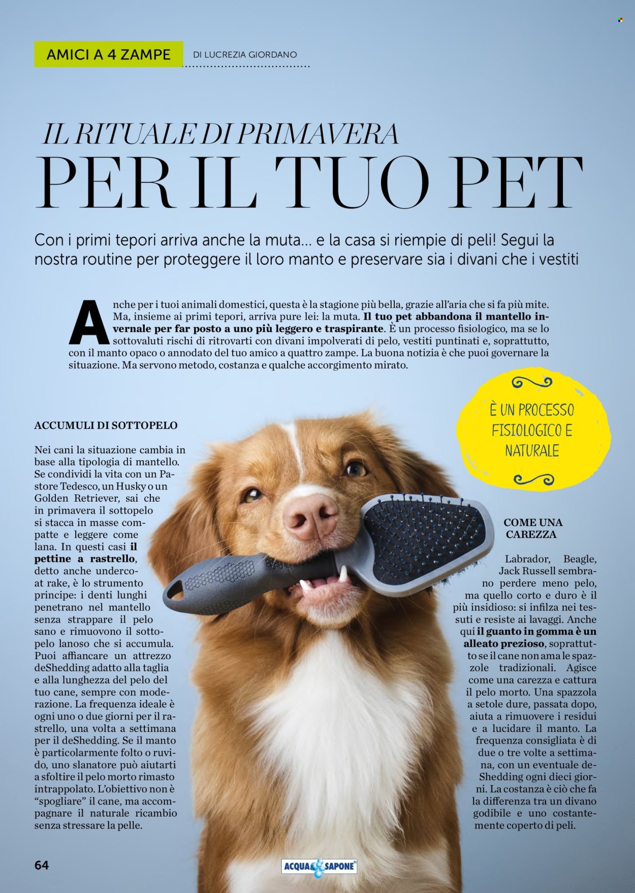 Volantino Acqua & Sapone - 1/3/2026 - 31/3/2026. Pagina 64