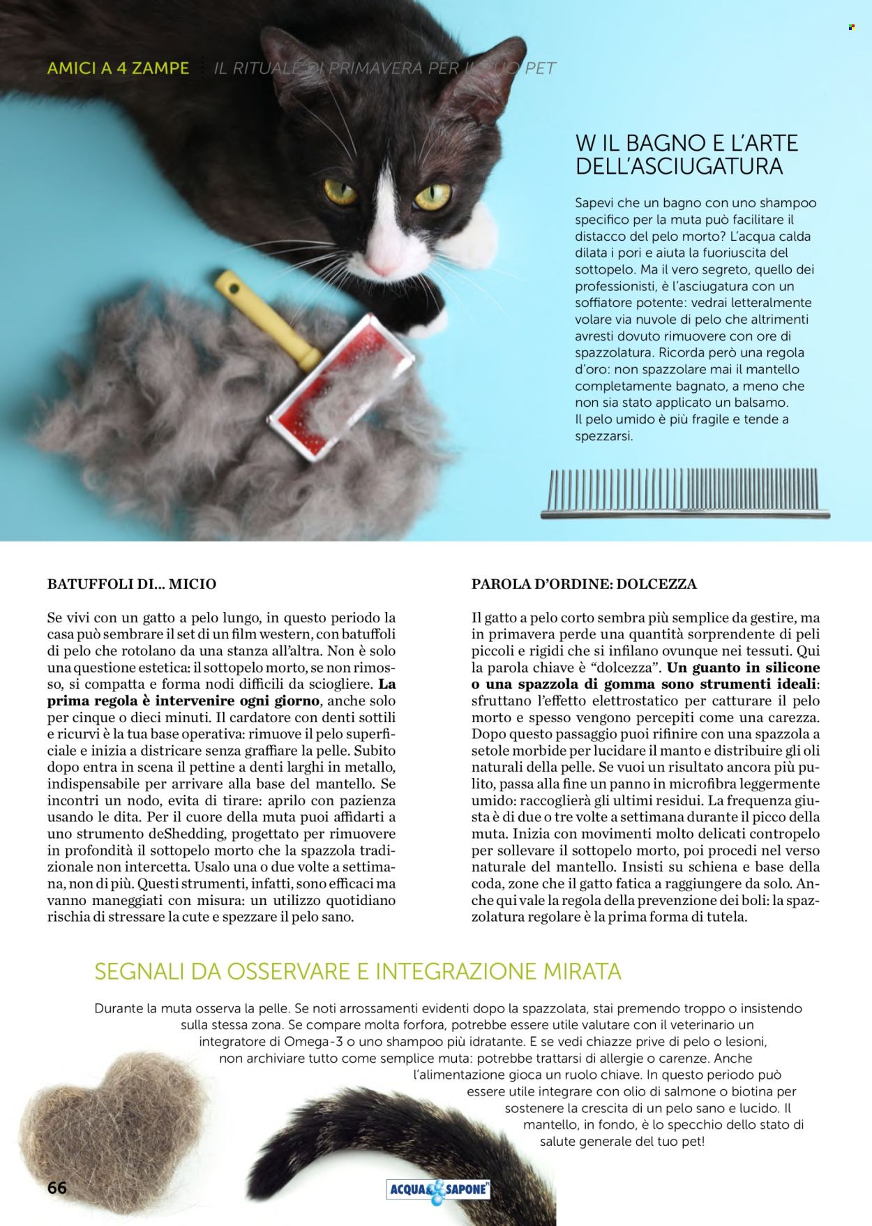 Volantino Acqua & Sapone - 1/3/2026 - 31/3/2026. Pagina 66
