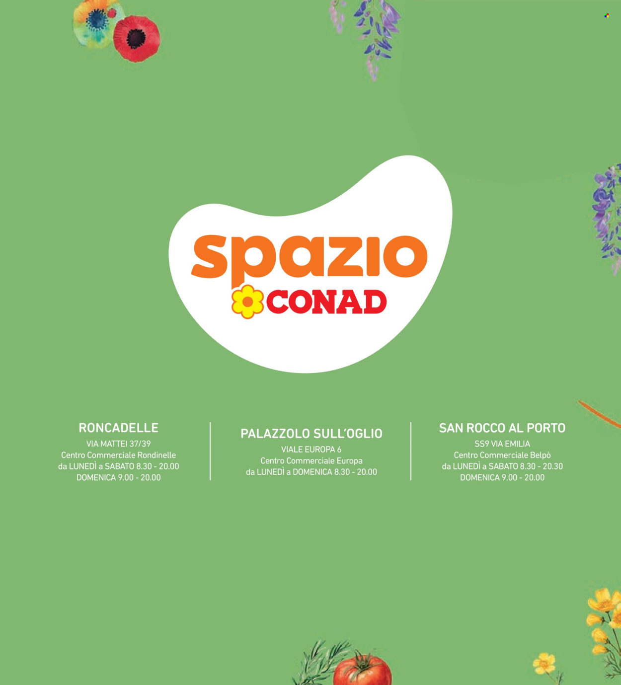 Volantino Spazio Conad - 13/3/2026 - 4/4/2026. Pagina 4
