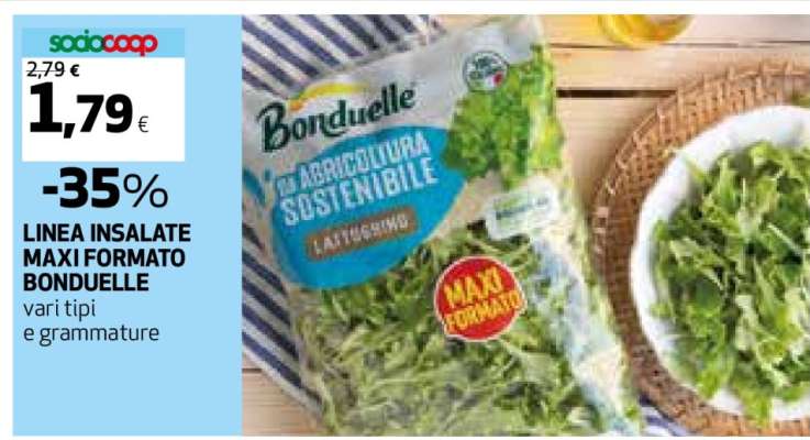 LINEA INSALATE MAXI FORMATO BONDUELLE