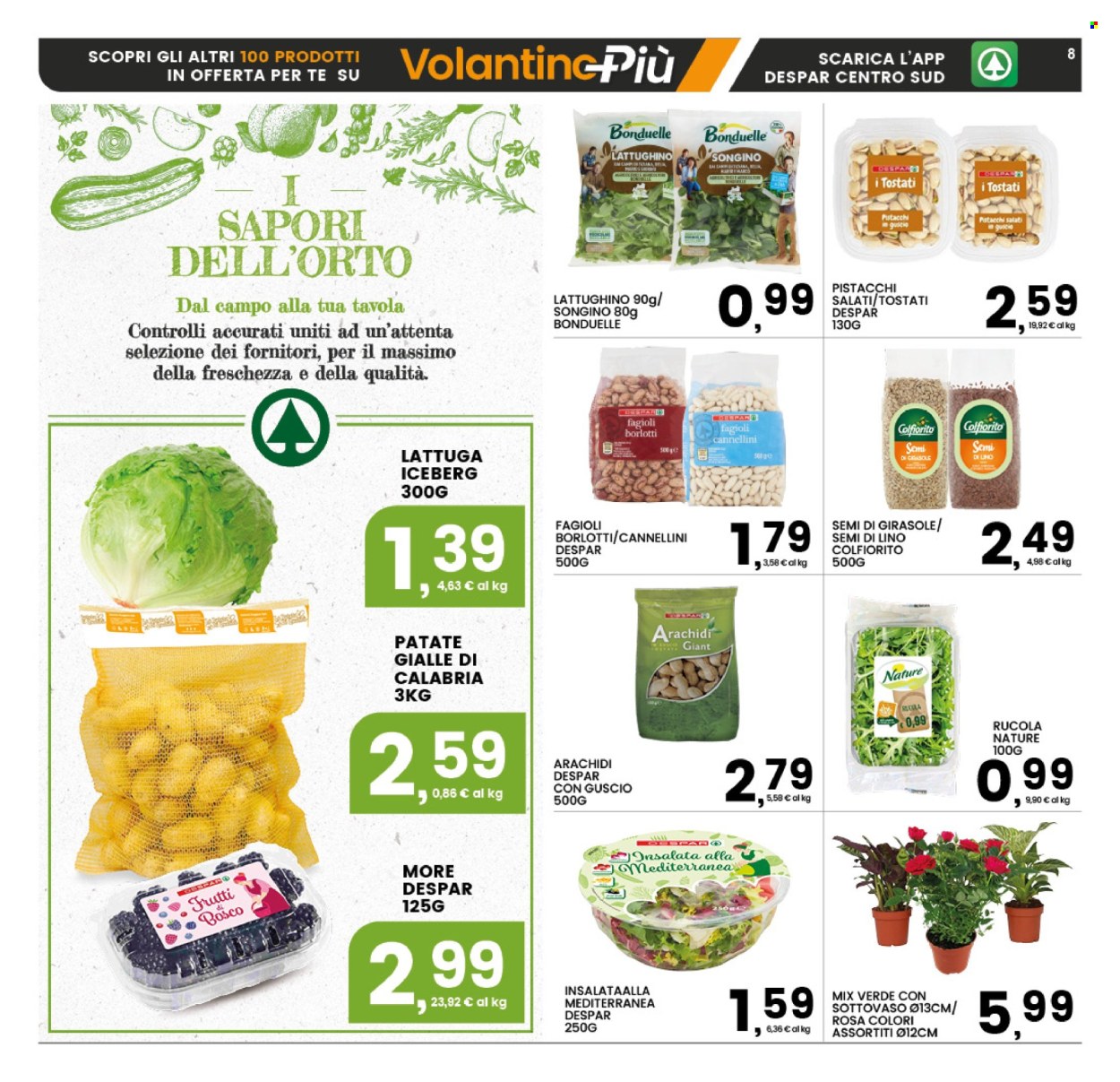 Volantino Interspar - 16/3/2026 - 25/3/2026. Pagina 8