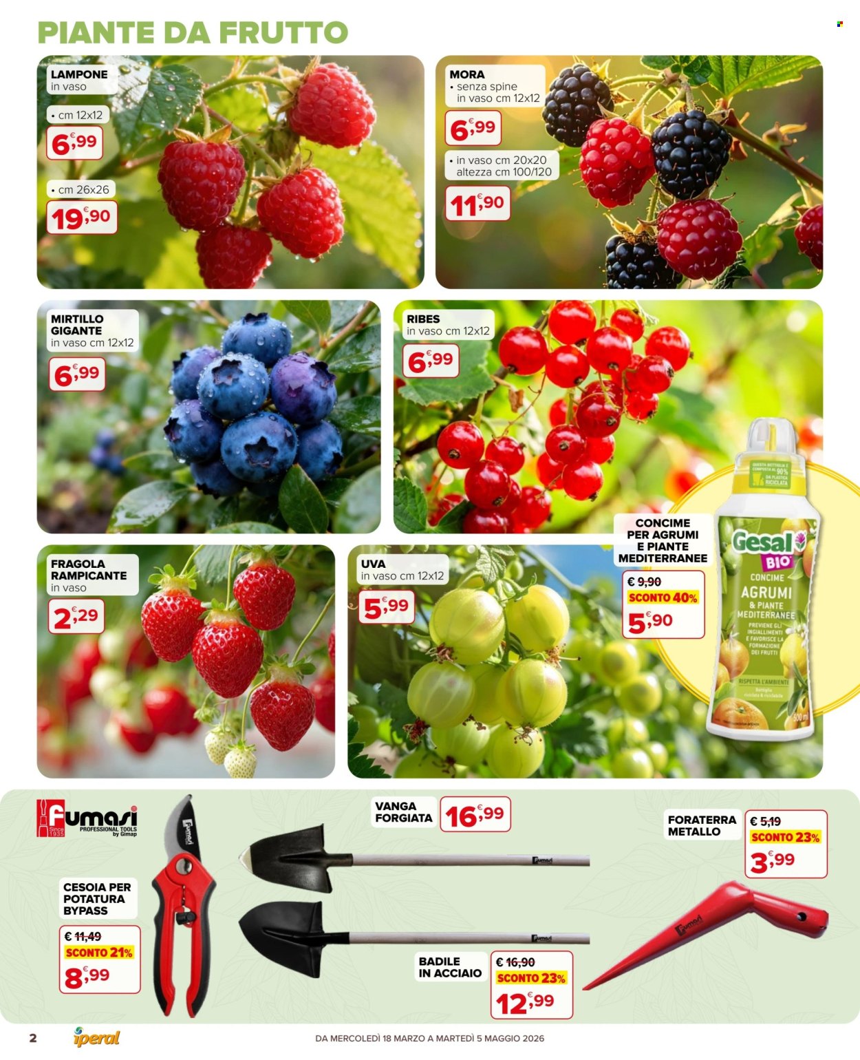 Volantino Iperal - 18/3/2026 - 5/5/2026. Pagina 2