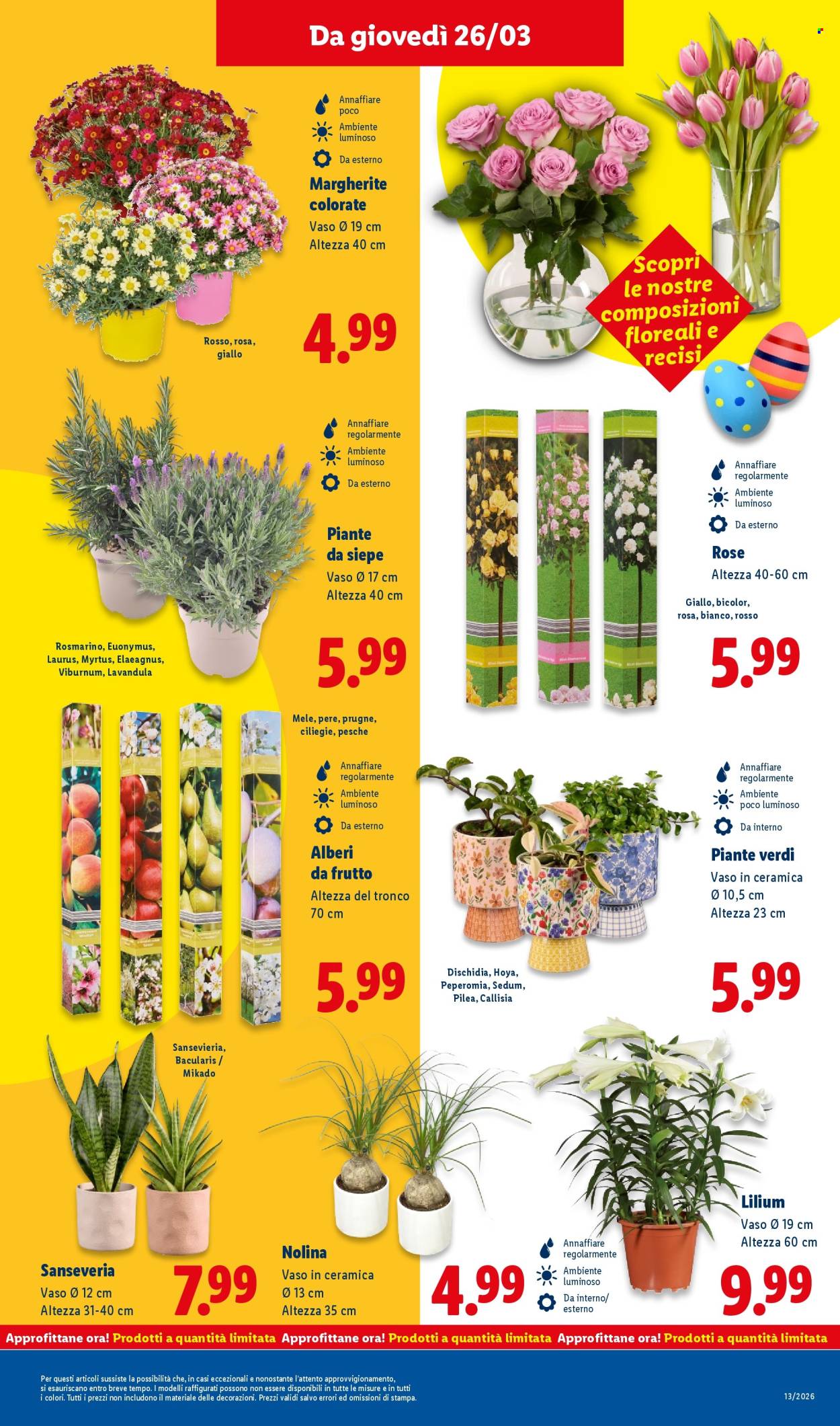 Volantino Lidl - 23/3/2026 - 29/3/2026. Pagina 35