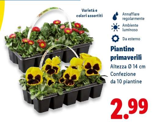 Piantine primaverili
