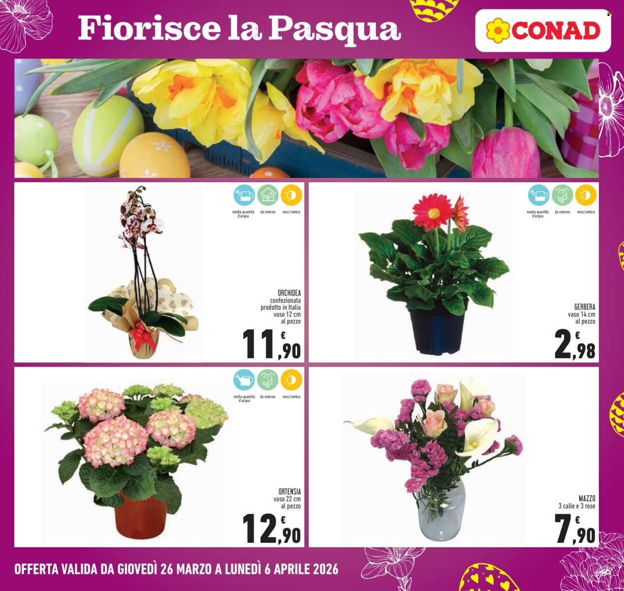 Volantino Conad - 26/3/2026 - 6/4/2026. Pagina 25