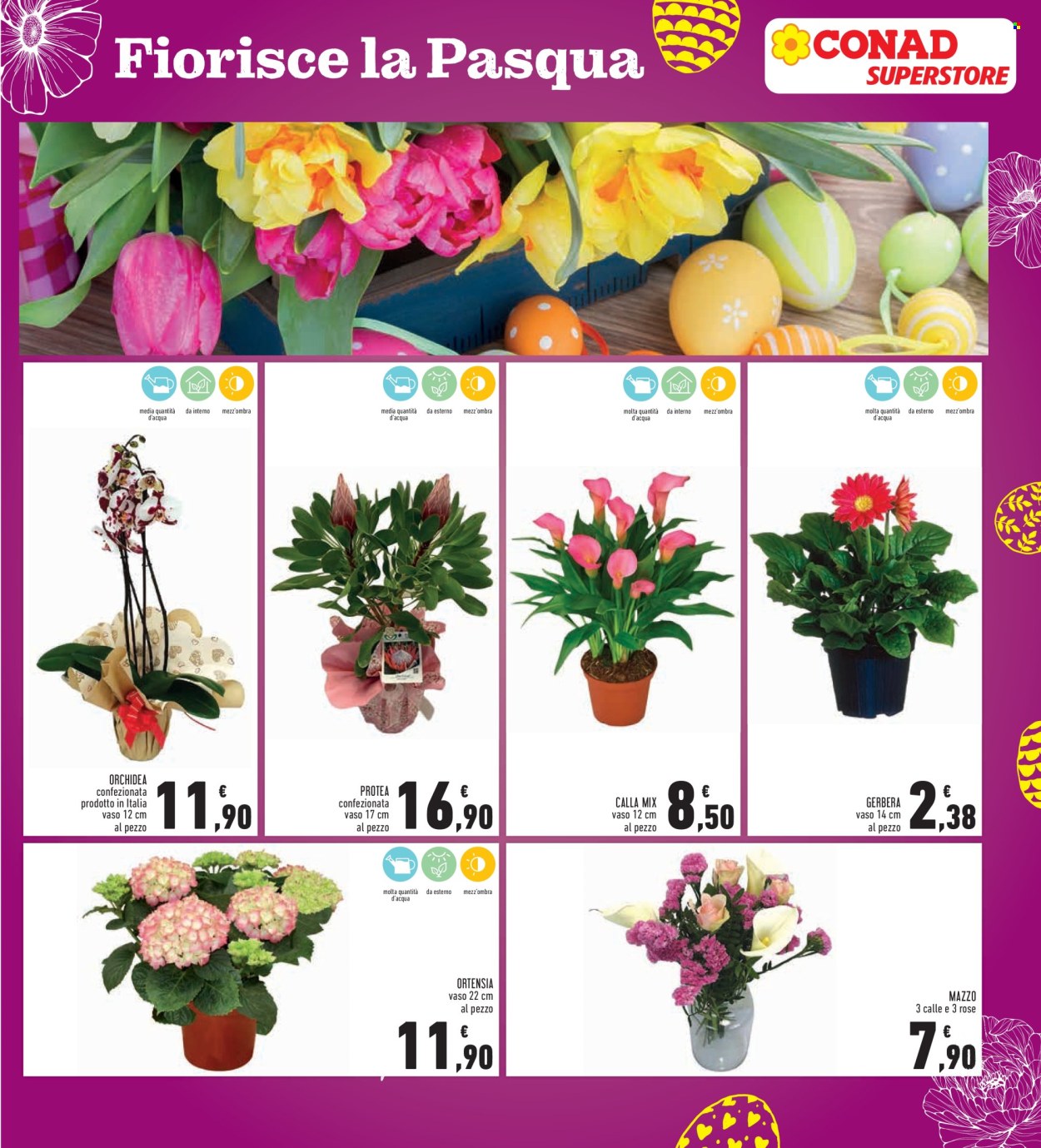 Volantino Conad - 25/3/2026 - 6/4/2026. Pagina 5