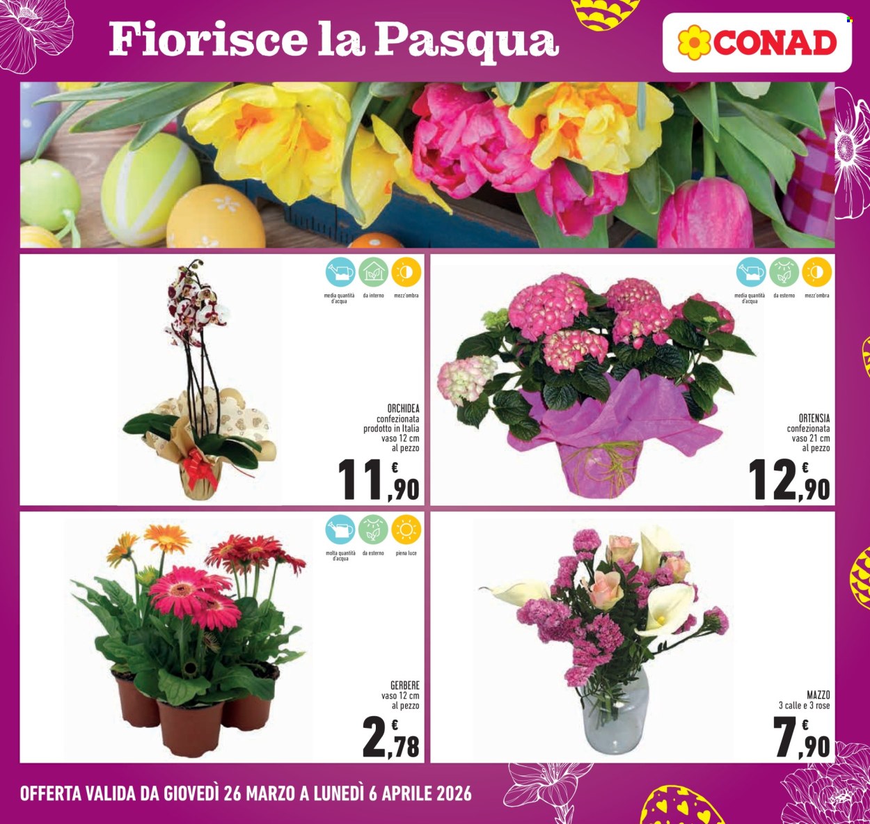 Volantino Conad - 26/3/2026 - 6/4/2026. Pagina 25