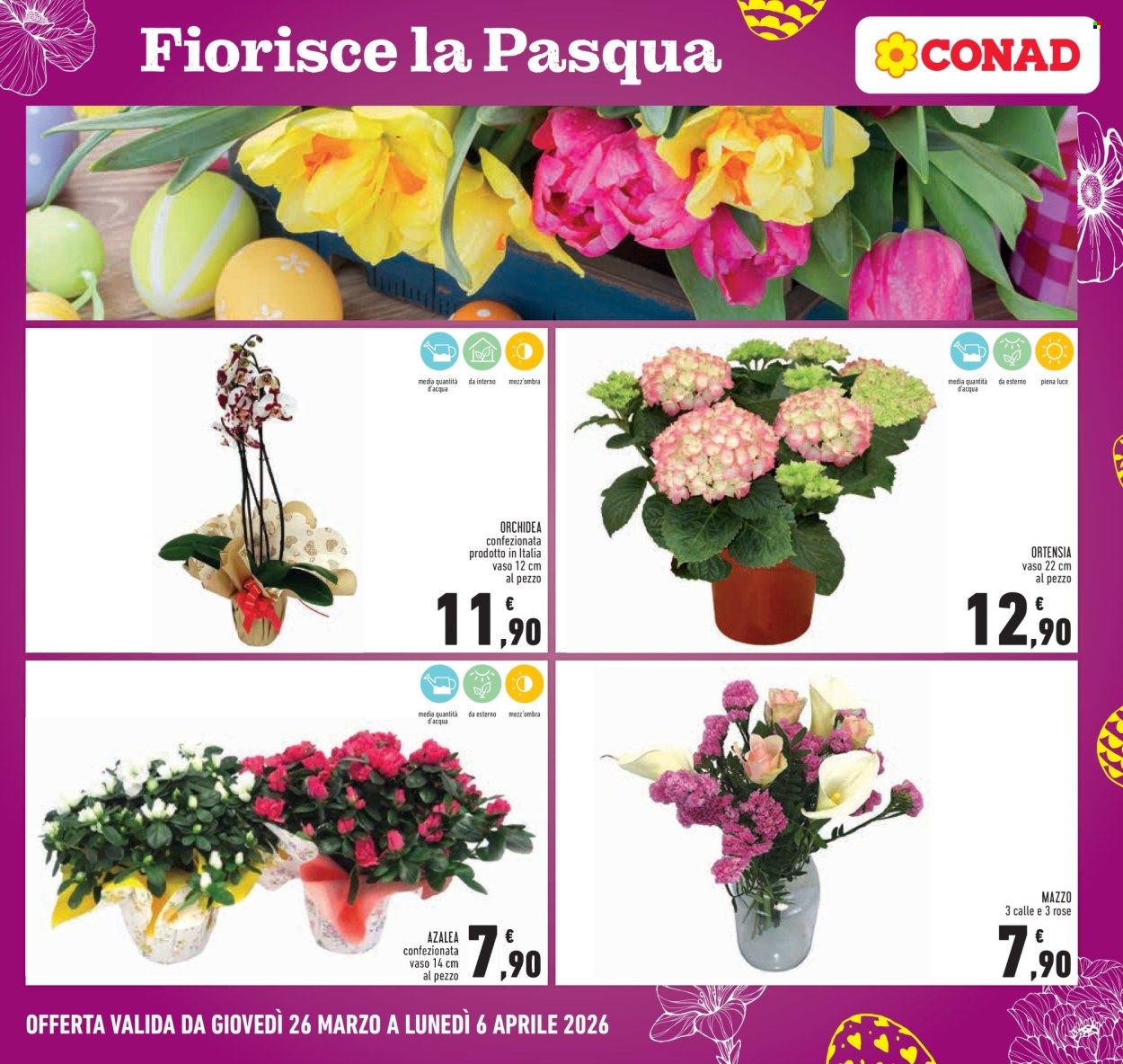 Volantino Conad - 26/3/2026 - 6/4/2026. Pagina 25