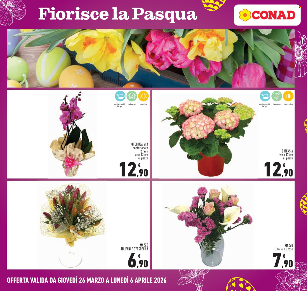 Volantino Conad - 26/3/2026 - 6/4/2026. Pagina 25