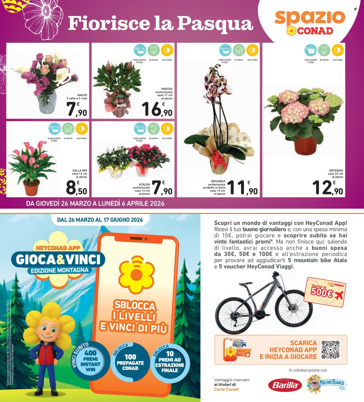 Volantino Spazio Conad - 26/3/2026 - 6/4/2026. Pagina 37