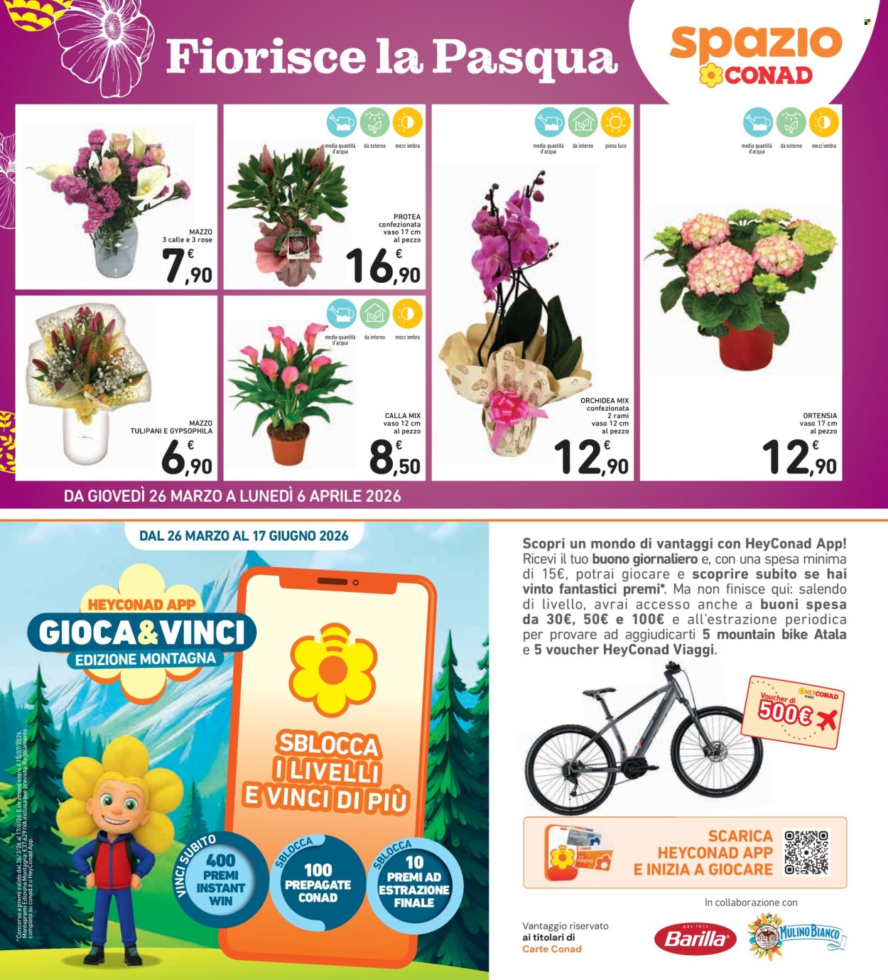 Volantino Spazio Conad - 26/3/2026 - 6/4/2026. Pagina 37