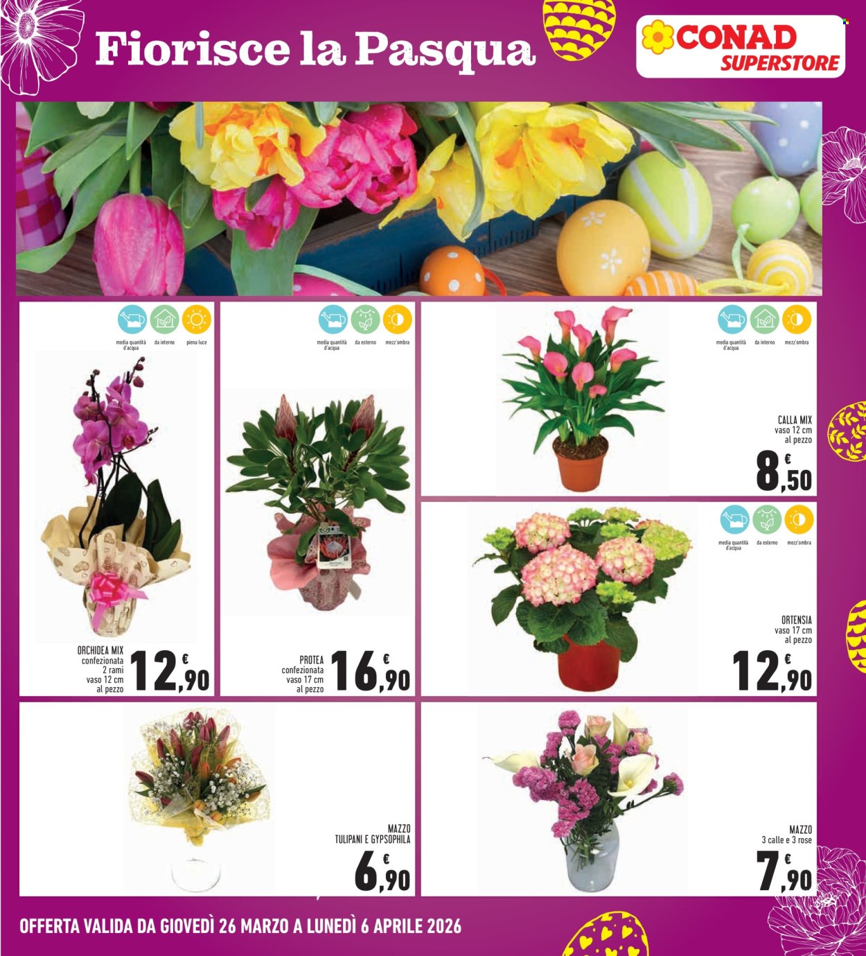 Volantino Conad - 26/3/2026 - 6/4/2026. Pagina 33