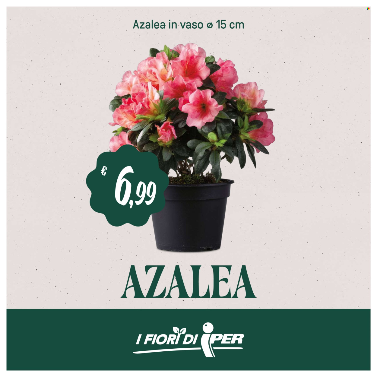 Volantino Iper, La grande i - 19/3/2026 - 29/3/2026. Pagina 39