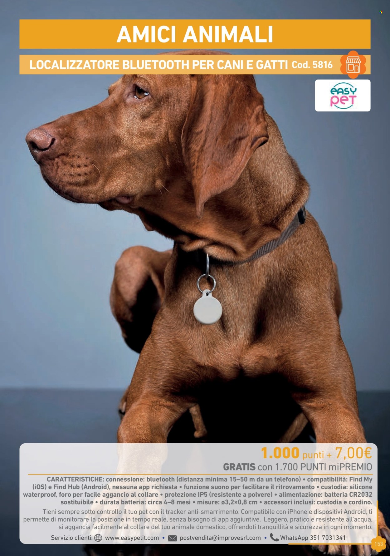 Volantino Conad - 19/3/2026 - 31/1/2027. Pagina 153