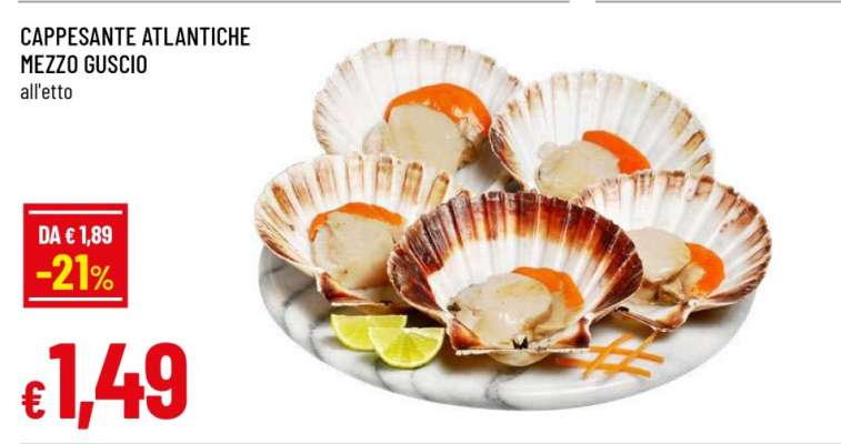 CAPPESANTE ATLANTICHE MEZZO GUSCIO