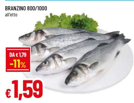 BRANZINO 800/1000