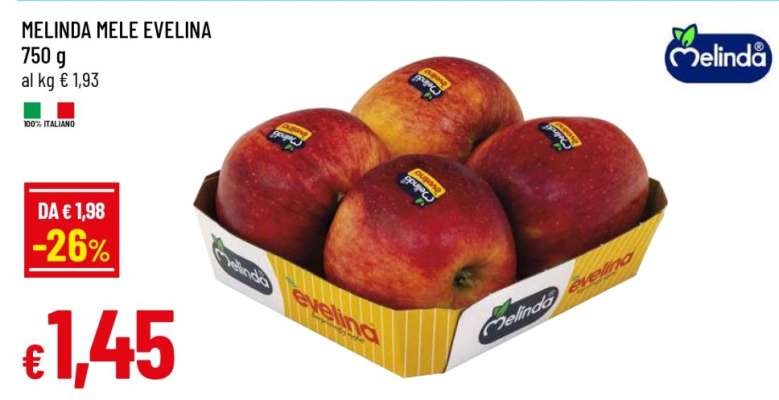 MELINDA MELE EVELINA