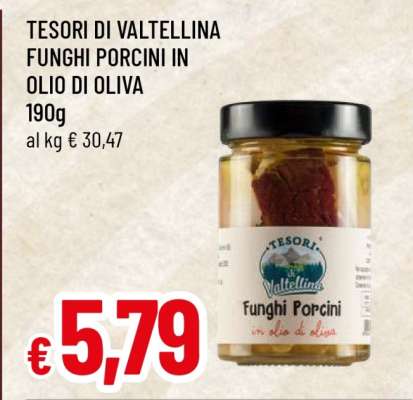 TESORI DI VALTELLINA FUNGHI PORCINI IN OLIO DI OLIVA